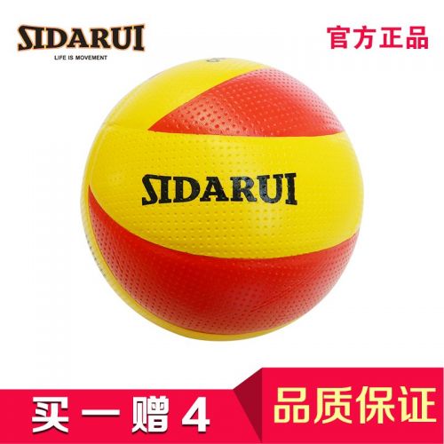 Ballon de volley - Ref 2011272