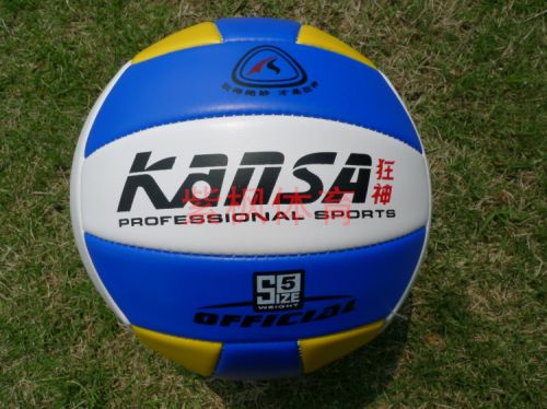 Ballon de volley - Ref 2011275