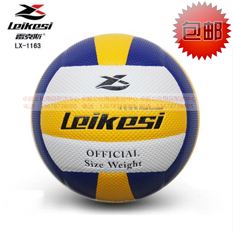 Ballon de volley - Ref 2011288
