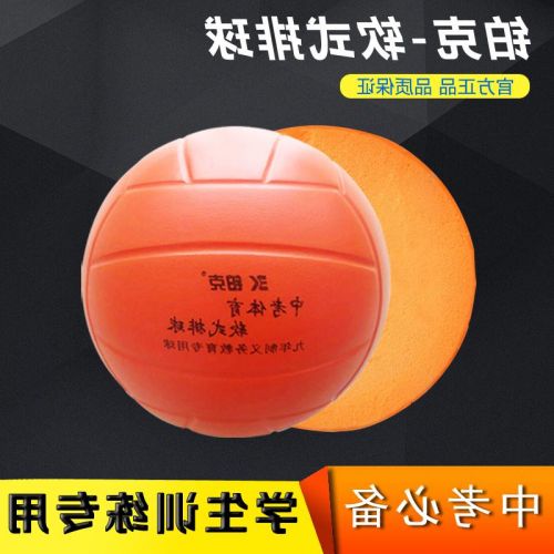 Ballon de volley - Ref 2011293