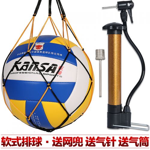 Ballon de volley - Ref 2011294