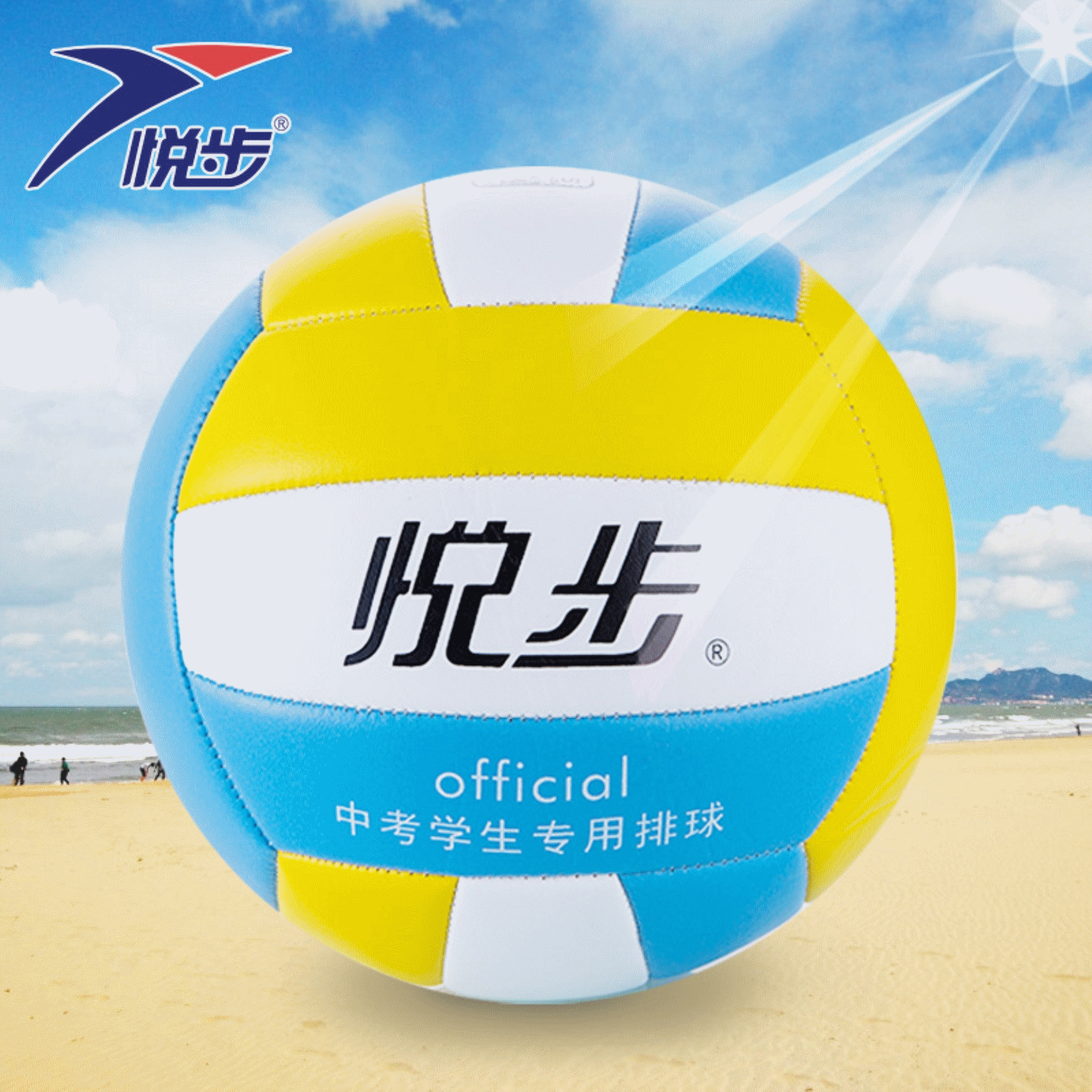 Ballon de volley - Ref 2011313