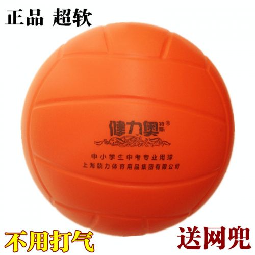 Ballon de volley - Ref 2011324