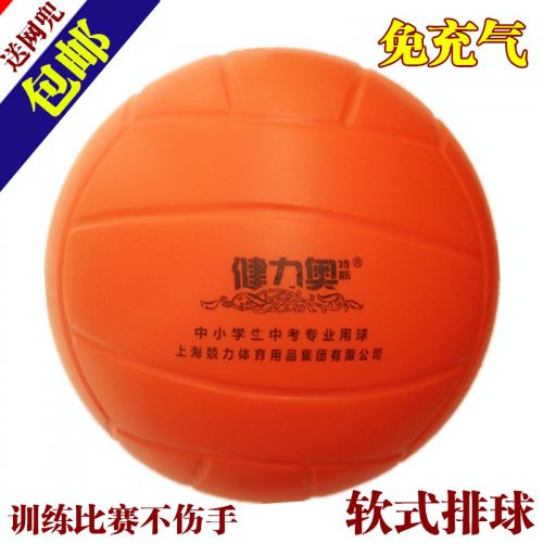 Ballon de volley - Ref 2011326