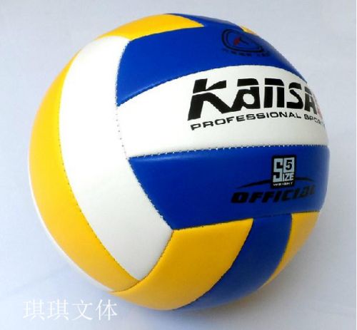 Ballon de volley - Ref 2011330