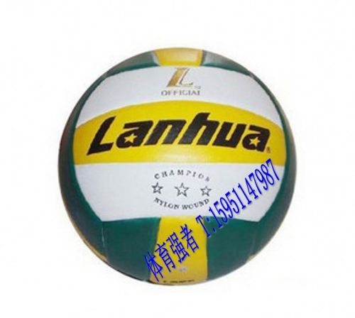 Ballon de volley - Ref 2011347