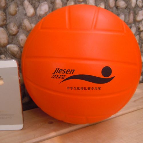 Ballon de volley - Ref 2011365