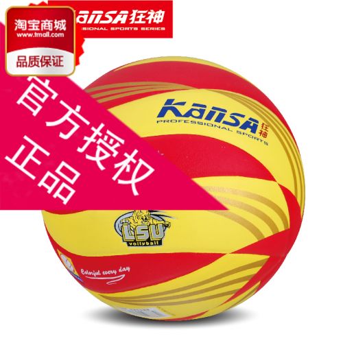 Ballon de volley - Ref 2011371