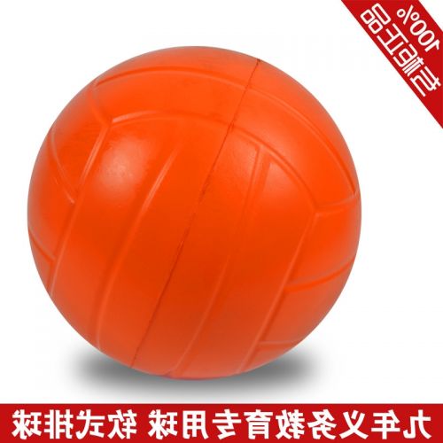 Ballon de volley - Ref 2011399