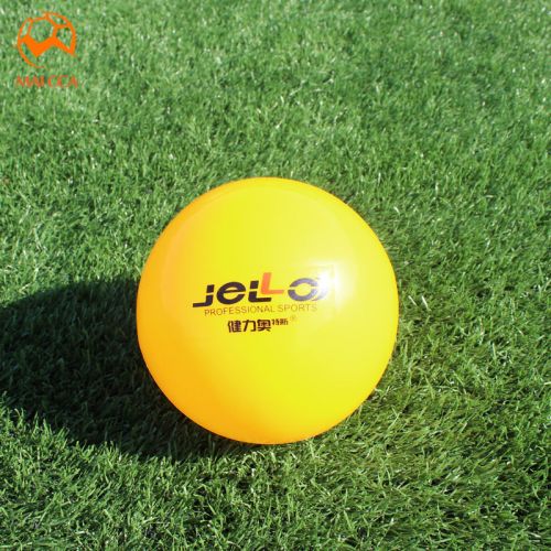 Ballon de volley - Ref 2011401
