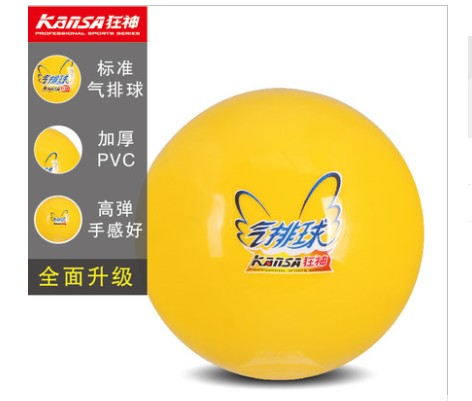 Ballon de volley - Ref 2011414