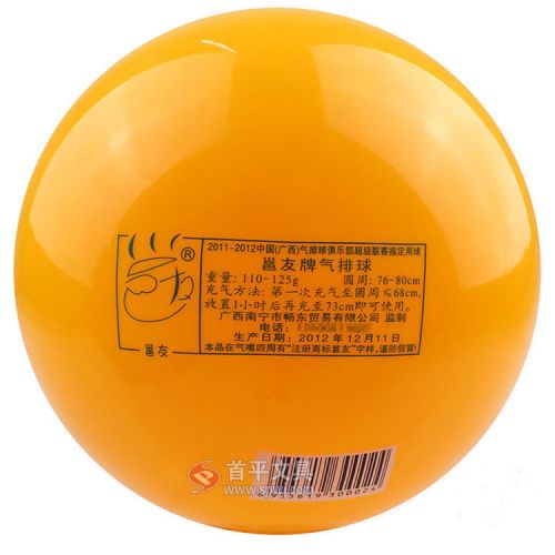 Ballon de volley - Ref 2011419