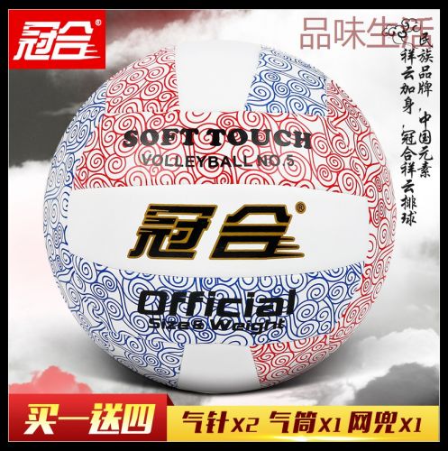 Ballon de volley - Ref 2011425