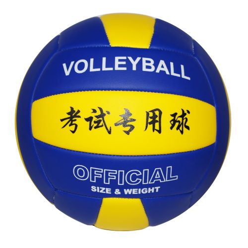 Ballon de volley - Ref 2011441