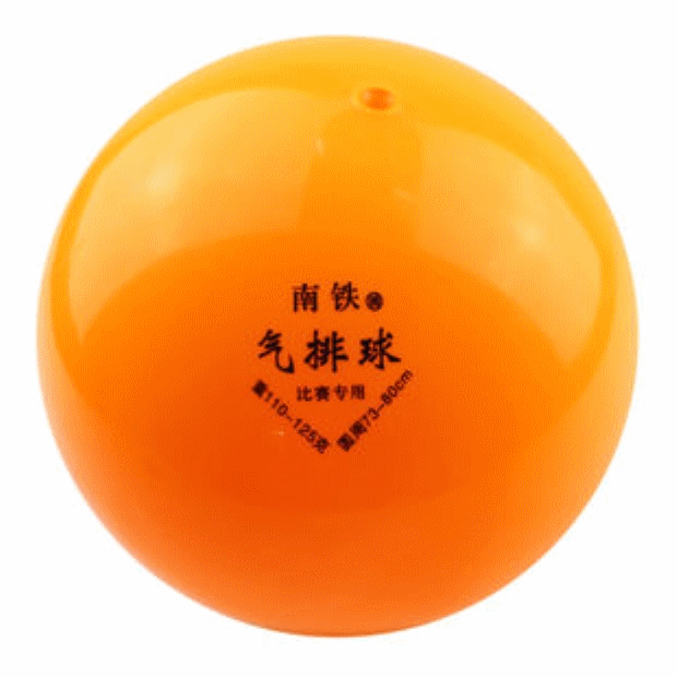 Ballon de volley - Ref 2011504