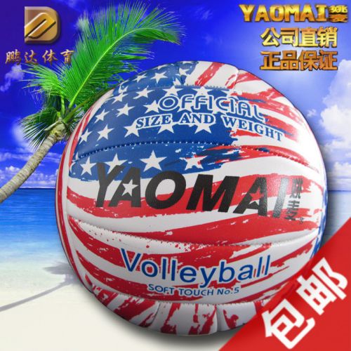 Ballon de volley - Ref 2011522