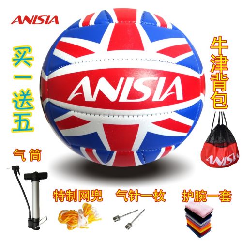 Ballon de volley ANISIA - Ref 2011528