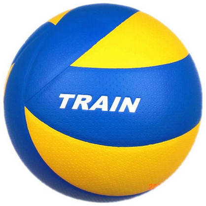 Ballon de volley - Ref 2011567