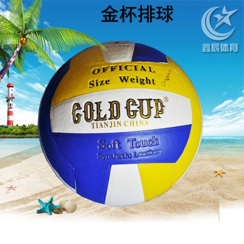 Ballon de volley - Ref 2011602