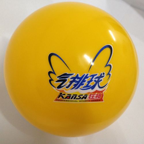 Ballon de volley - Ref 2011608