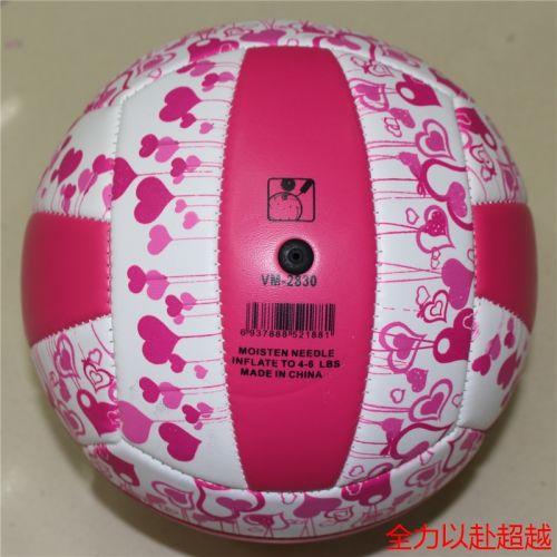Ballon de volley - Ref 2011609