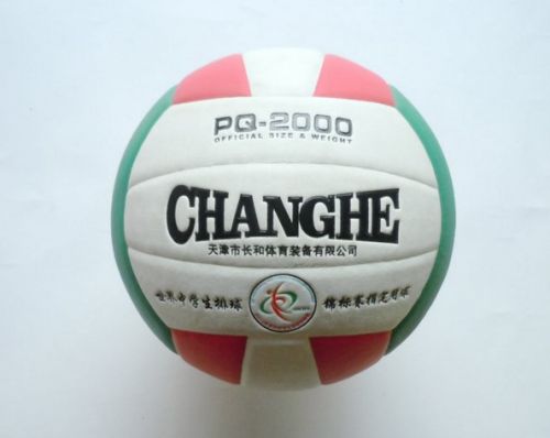 Ballon de volley - Ref 2011615