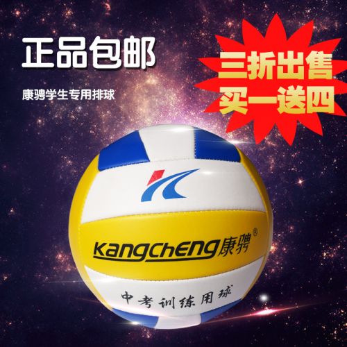 Ballon de volley - Ref 2011620