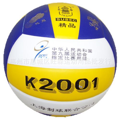Ballon de volley - Ref 2011690