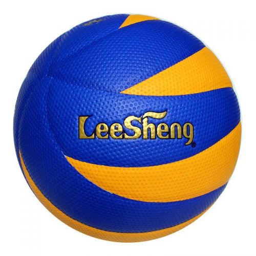 Ballon de volley - Ref 2011700