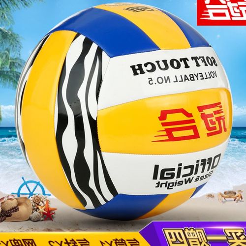 Ballon de volley - Ref 2011702