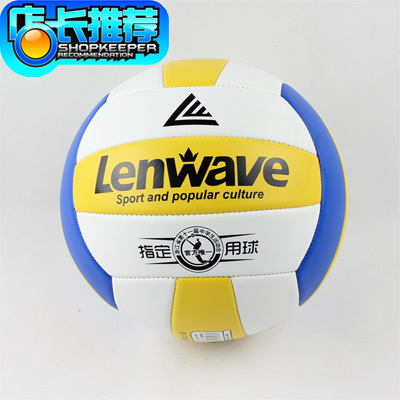 Ballon de volley - Ref 2011794