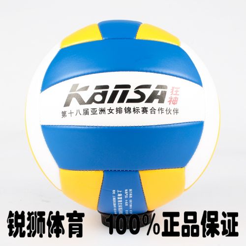Ballon de volley - Ref 2011833