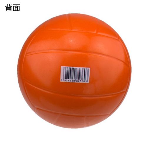 Ballon de volley LEESHENG - Ref 2011850