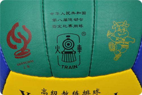 Ballon de volley - Ref 2011859