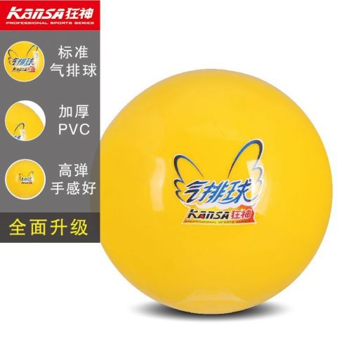 Ballon de volley - Ref 2011889