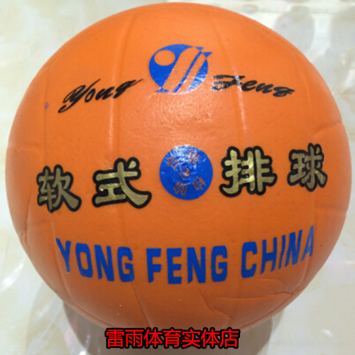Ballon de volley - Ref 2011909