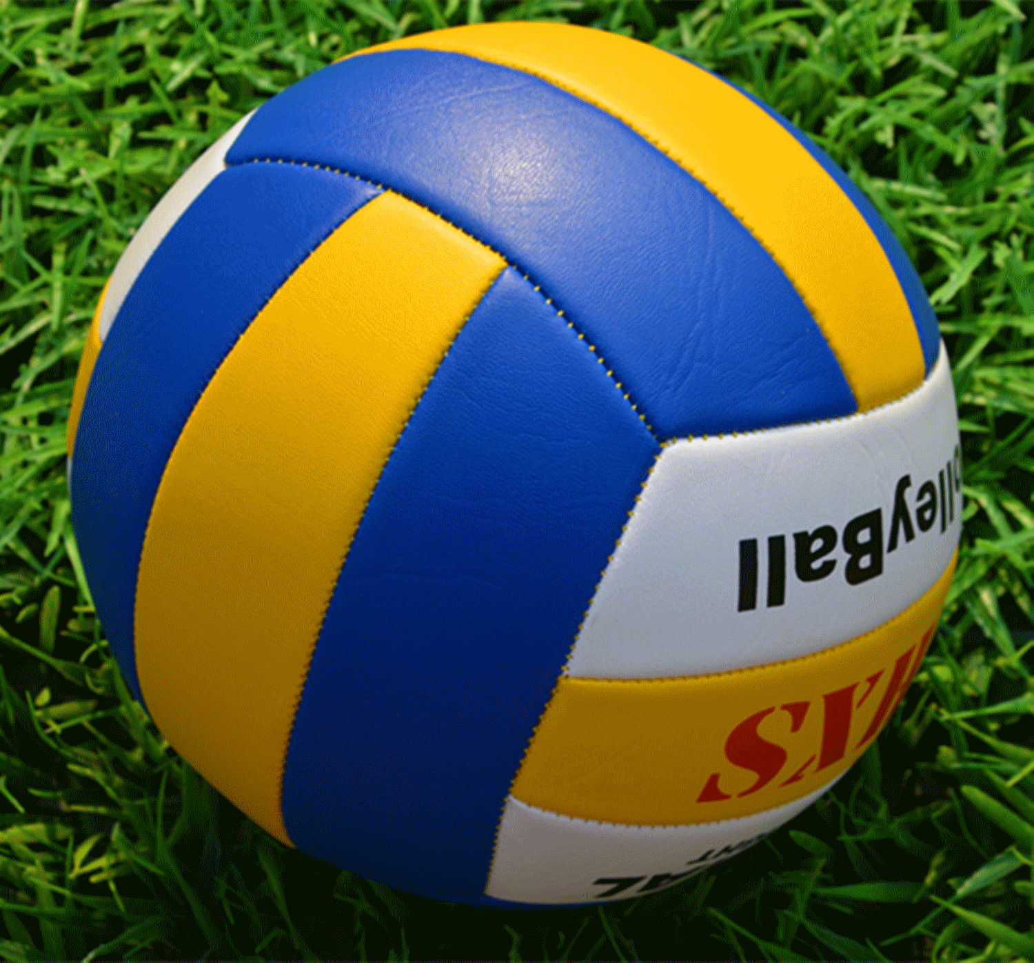 Ballon de volley - Ref 2011937