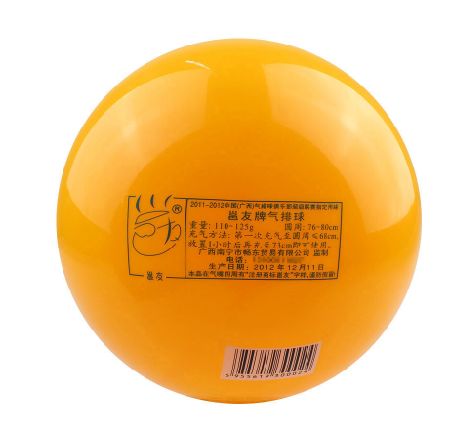 Ballon de volley - Ref 2011975