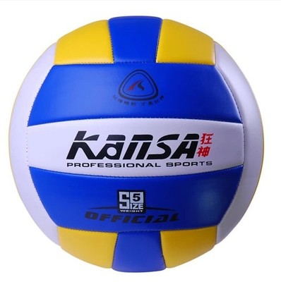 Ballon de volley - Ref 2011978