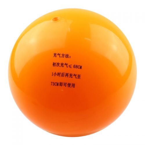 Ballon de volley - Ref 2012012