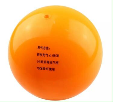 Ballon de volley - Ref 2012029