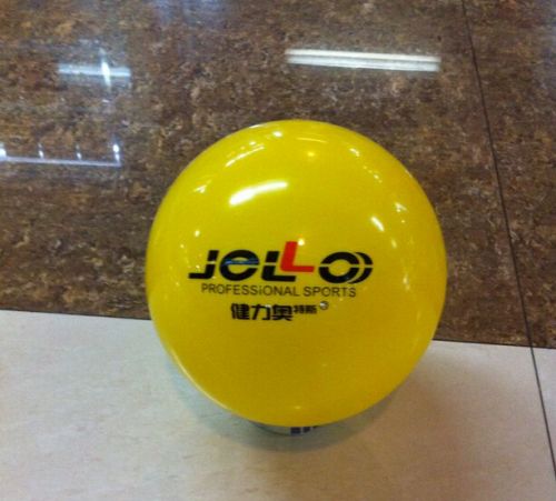 Ballon de volley - Ref 2012040