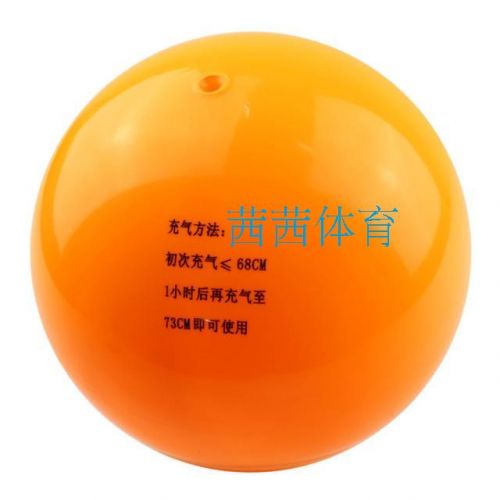 Ballon de volley - Ref 2012048