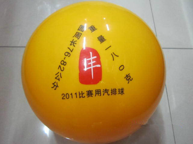 Ballon de volley - Ref 2012058