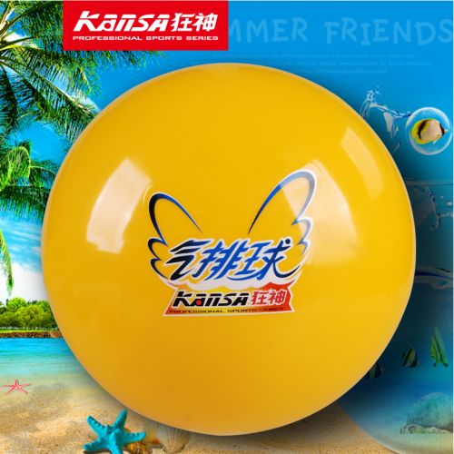 Ballon de volley 2012059