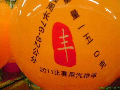 Ballon de volley - Ref 2012065