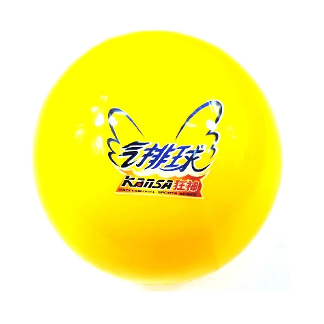 Ballon de volley - Ref 2012071