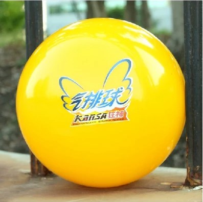 Ballon de volley - Ref 2012072