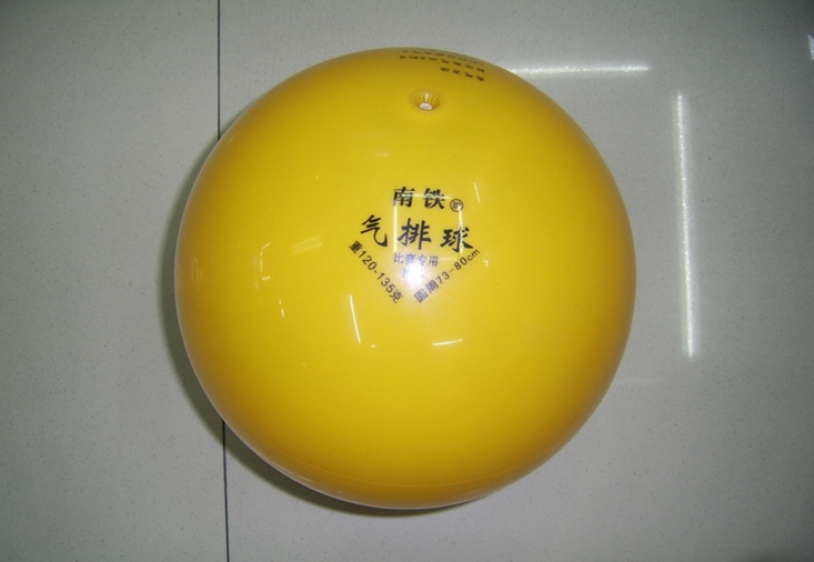 Ballon de volley - Ref 2012073