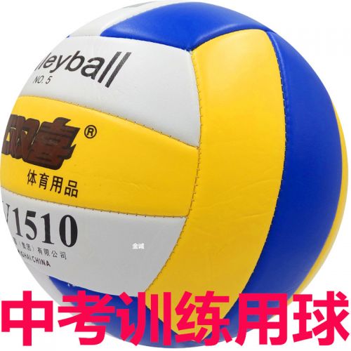 Ballon de volley - Ref 2012083